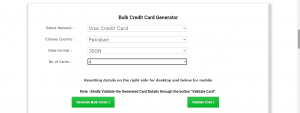 bulk credit card generator