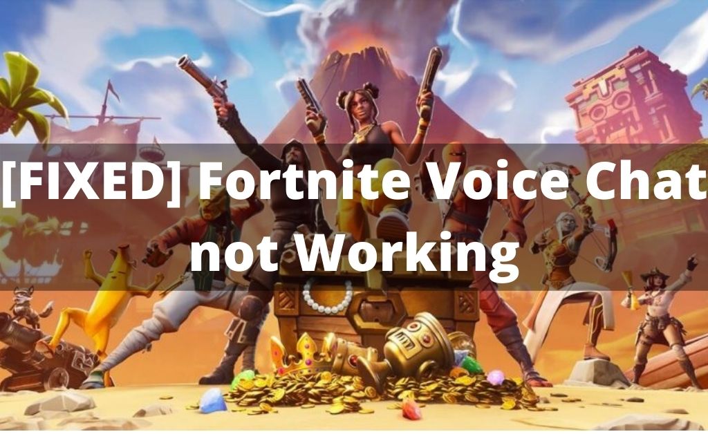 Fortnite Voice Chat not Working