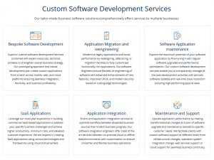 custom software development service